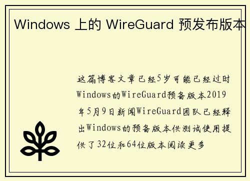 Windows 上的 WireGuard 预发布版本 