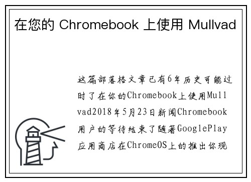 在您的 Chromebook 上使用 Mullvad 