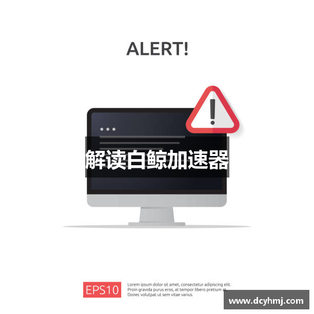 解读白鲸加速器