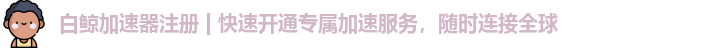 白鲸加速器